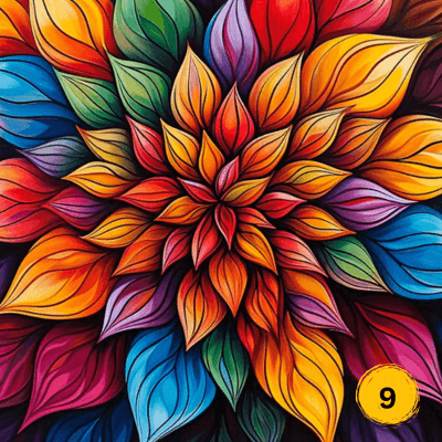 Abstract & Colour Collection