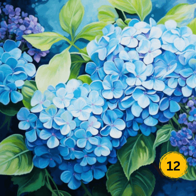 Abstract & Colour Collection